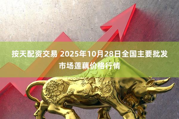 按天配资交易 2025年10月28日全国主要批发市场莲藕价格行情