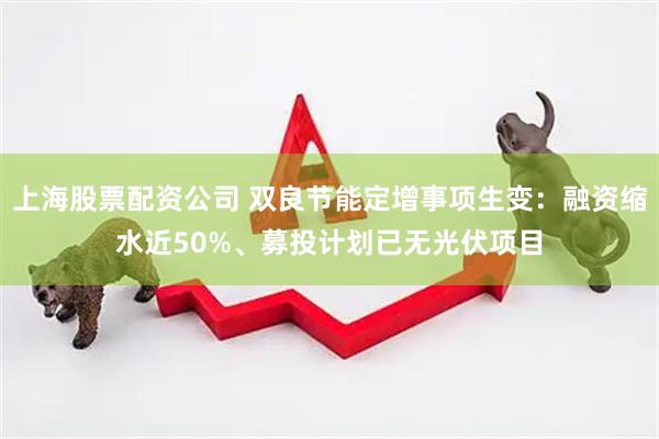 上海股票配资公司 双良节能定增事项生变：融资缩水近50%、募投计划已无光伏项目