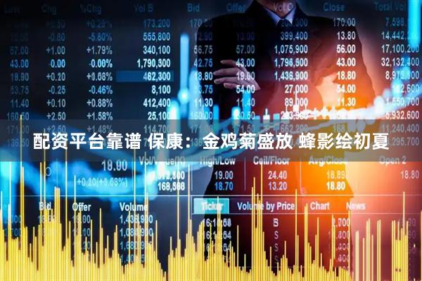 配资平台靠谱 保康：金鸡菊盛放 蜂影绘初夏